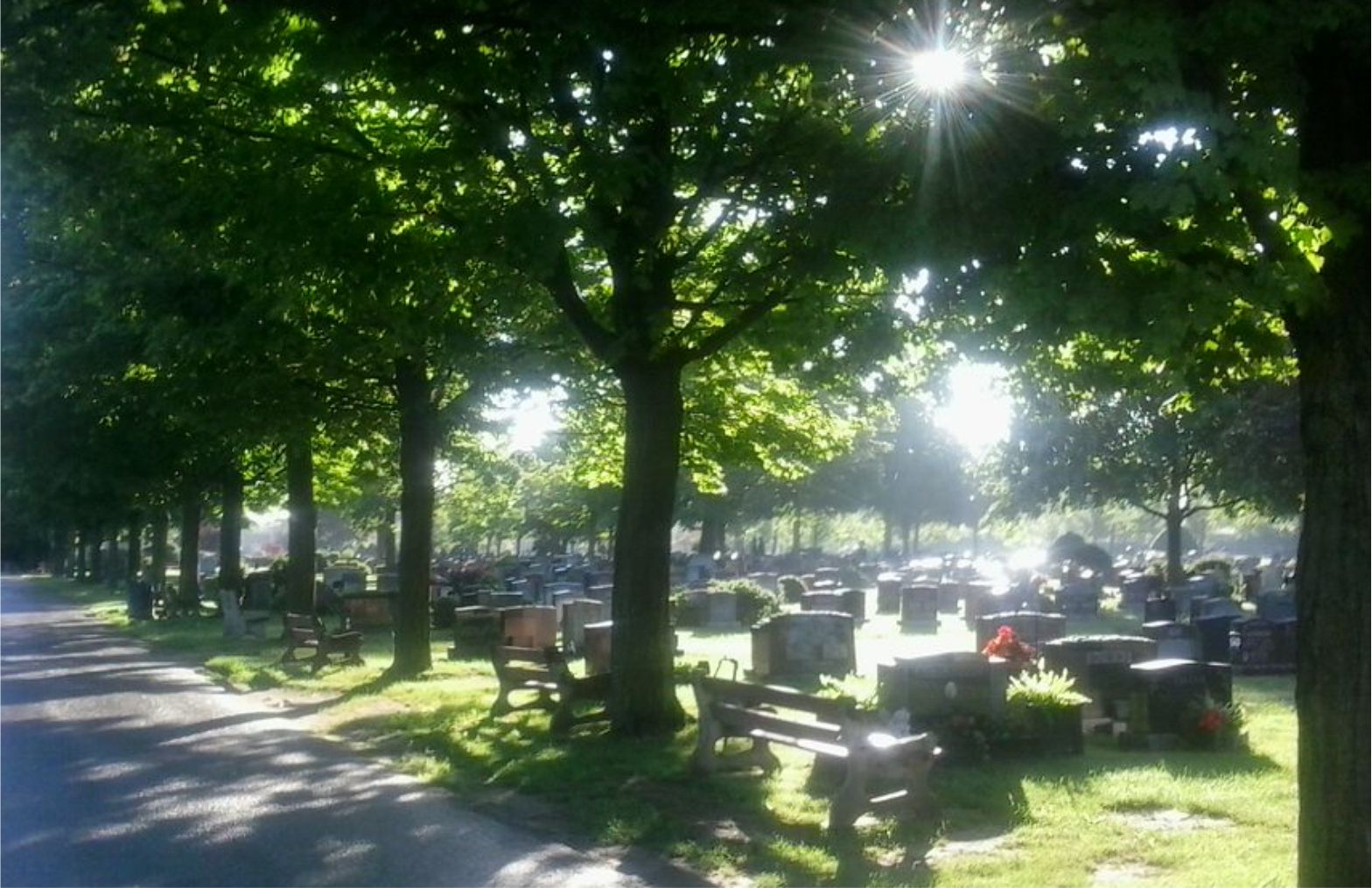 park #2
